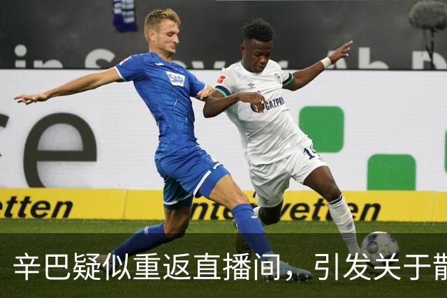 辛巴疑似重返直播间，引发关于散打哥巨额输赢的讨论